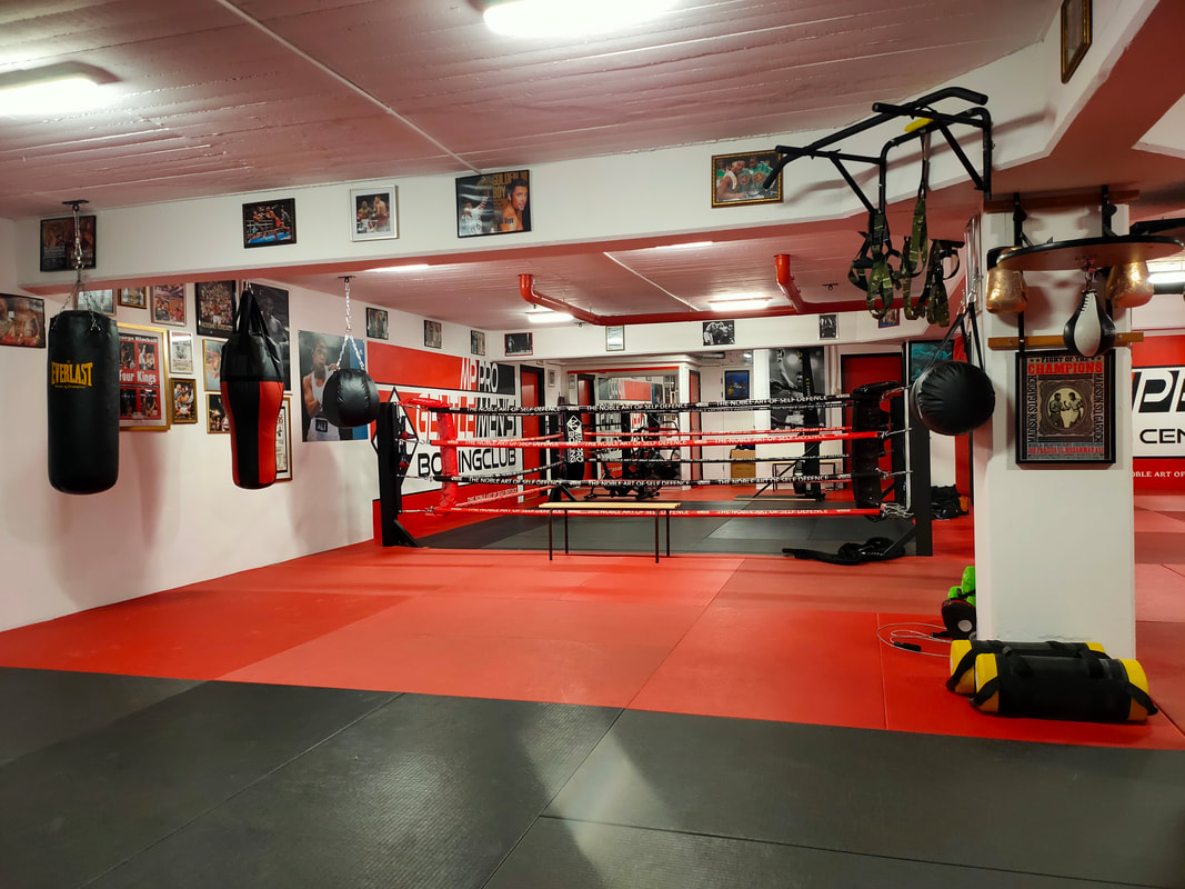 Adviseur piloot Voorwoord MPPRO BOXING CENTER - Home